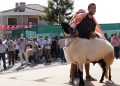 Ovacık’ta festival heyecanı başlıyor!
