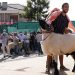 Ovacık’ta festival heyecanı başlıyor!