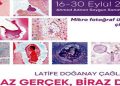 “Biraz Gerçek Biraz Düş” sergisi açıldı