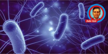İnsanlığa esir mikro canlılar: E. Coli