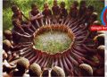 UBUNTU!..