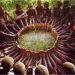 UBUNTU!..