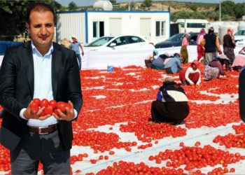 3 ürüne coğrafi işaret