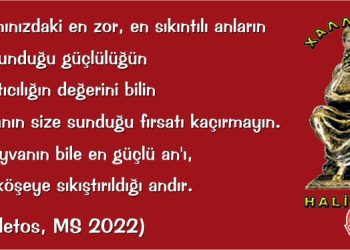 HALİLETOS’tan…