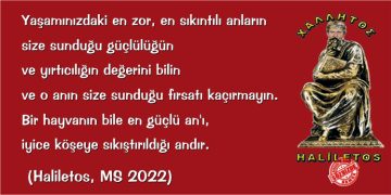 HALİLETOS’tan…