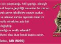 HALİLETOS’tan…