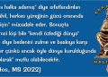 HALİLETOS’tan…