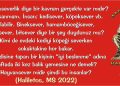 Haliletos’tan…