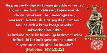 Haliletos’tan…