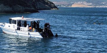 Hem çevreye hem ekonomiye katkı sağlayan proje