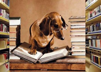 KÖPEKLERLE KİTAP OKUYACAKLAR