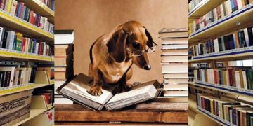 KÖPEKLERLE KİTAP OKUYACAKLAR