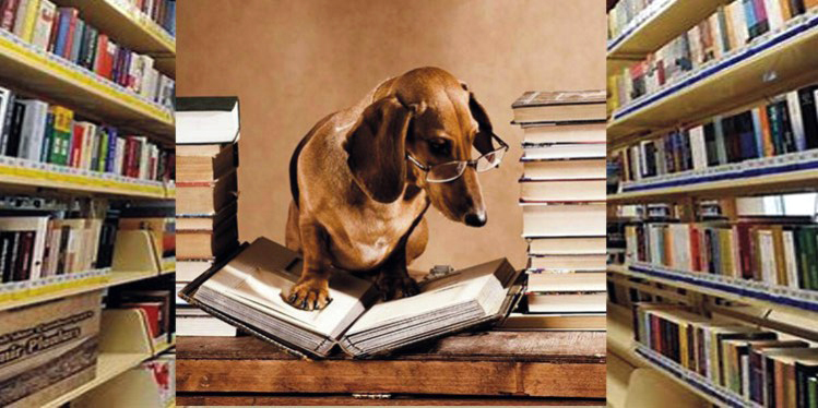 KÖPEKLERLE KİTAP OKUYACAKLAR