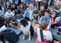 Köpeklerle Kitap Okudular