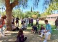Konservatuvar öğrencilerinden sanatla ve hayvan sevgisini birleştiren proje