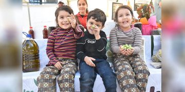 Saipler’de “Zeytin Festivali” düzenlenecek
