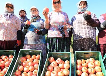 “NAR NEŞESİ, ŞEN TANESİ” ŞENLİĞİ BU PAZAR ZEYTİNKÖY’DE…