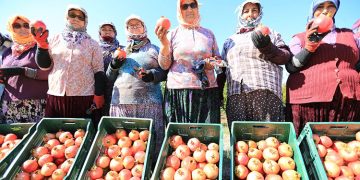 “NAR NEŞESİ, ŞEN TANESİ” ŞENLİĞİ BU PAZAR ZEYTİNKÖY’DE…