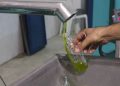 FOÇADA ERKEN HASAT ZEYTİN SIKIMI BAŞLADI.