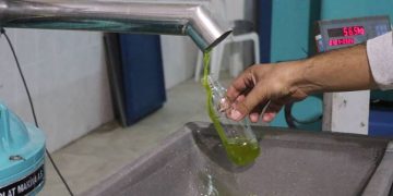 FOÇADA ERKEN HASAT ZEYTİN SIKIMI BAŞLADI.