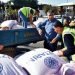 Atalık karakılçık buğdayı bir avuçtan 11 bin dönüme çıkıyor