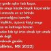 Haliletos’tan…