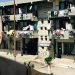 AHMET SEFA, ZOR BİR HAYATIN CESUR, DÜRÜST, VİCDANLI YAZARIDIR