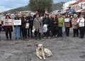 HAYVANLARA YÖNELİK ŞİDDET FOÇADA PROTESTO EDİLDİ