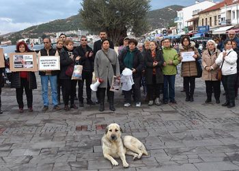 HAYVANLARA YÖNELİK ŞİDDET FOÇADA PROTESTO EDİLDİ