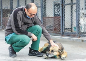“Şanslı” kanseri yendi!