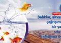 Akvaryum Balıklarını Çok Severim.