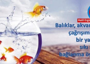 Akvaryum Balıklarını Çok Severim.