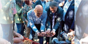 Beydağ, Çomaklar’daki Kestane Festivali ile Şenleniyor