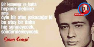 Kuşlar Sustu