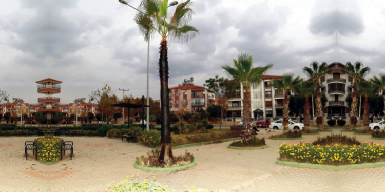 Şehir magandaları parktaki palmiye ağacını yaktı!