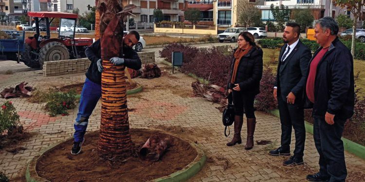 Eğitim Şehitleri Parkı’ndaki palmiyeler için örnek duyarlılık