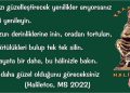 Haliletos’tan…