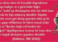 Haliletos’tan…