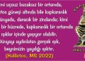 Haliletos’tan…