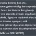 Haliletos’tan…