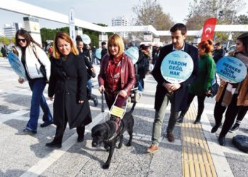 Rehber köpekler toplu ulaşımda
