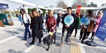 Rehber köpekler toplu ulaşımda
