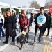 Rehber köpekler toplu ulaşımda