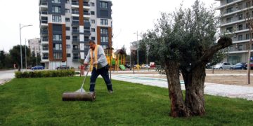 Bayraklı’nın yeşil oranı her yıl artıyor