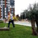 Bayraklı’nın yeşil oranı her yıl artıyor