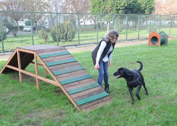 Bayraklı’da evcil hayvanlar için ‘Pati Park’