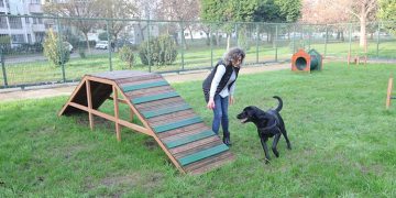 Bayraklı’da evcil hayvanlar için ‘Pati Park’