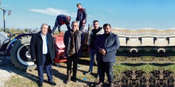 Torbalı Belediyesi, tarlalarına buğday ekti