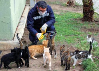 KARŞIYAKA’DA GÜNDE 150 CAN DOSTA ŞİFA