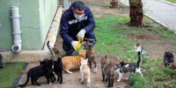 KARŞIYAKA’DA GÜNDE 150 CAN DOSTA ŞİFA
